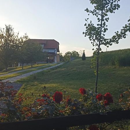 Stari Trsic Apartamento Exterior foto