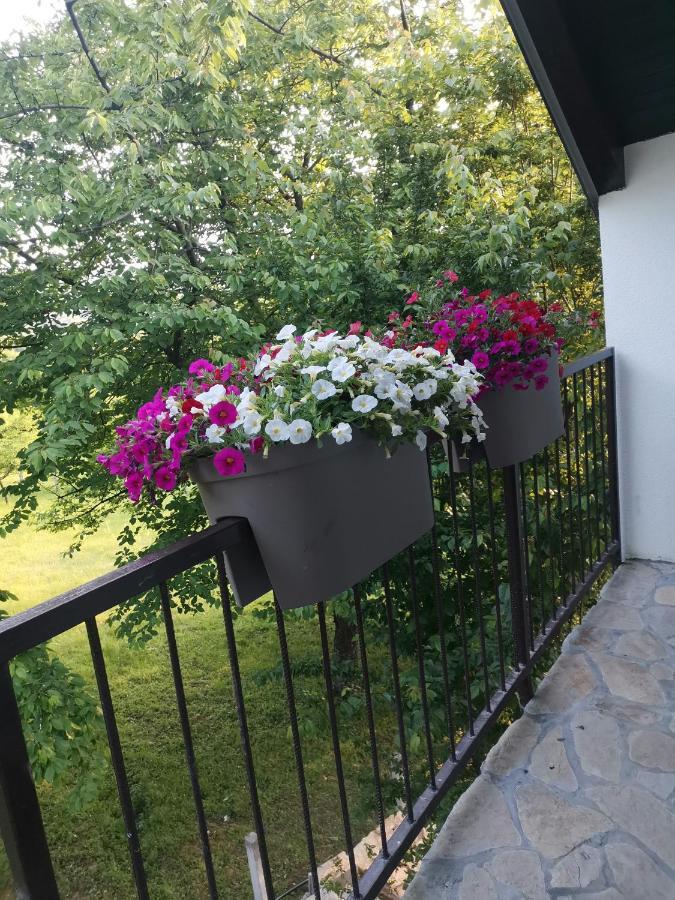 Stari Trsic Apartamento Exterior foto
