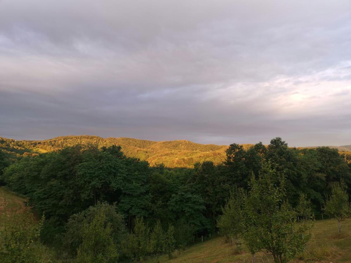Stari Trsic Apartamento Exterior foto